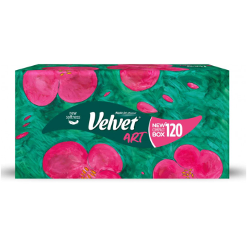 Chusteczki higieniczne karton VELVET ART [120]