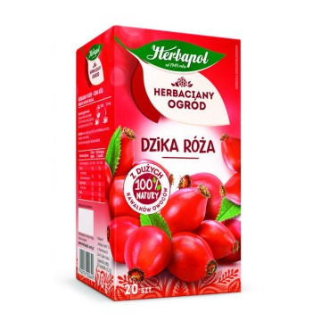 Herbata HERBAPOL [20] malina z dziką różą