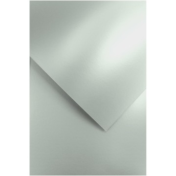 Kartony ozdobne MILLENIUM srebrne [20]