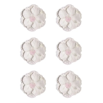 Kwiaty ARGO CLEMATIS białe [6]