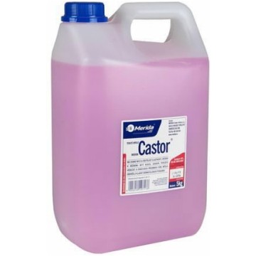 Mydło w płynie MERIDA CASTO 5kg kwiatowe